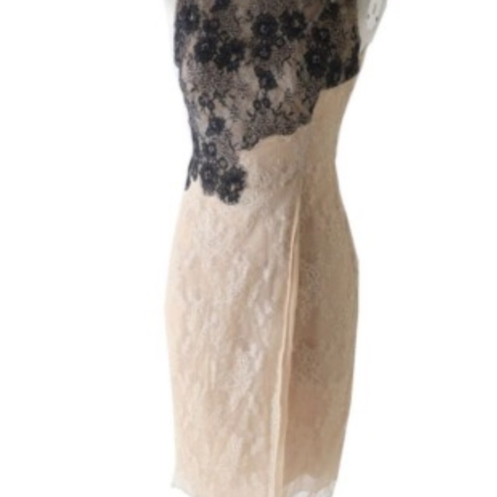 Valentino Elegant Silk Lace Overlay Dress - Black and Cream